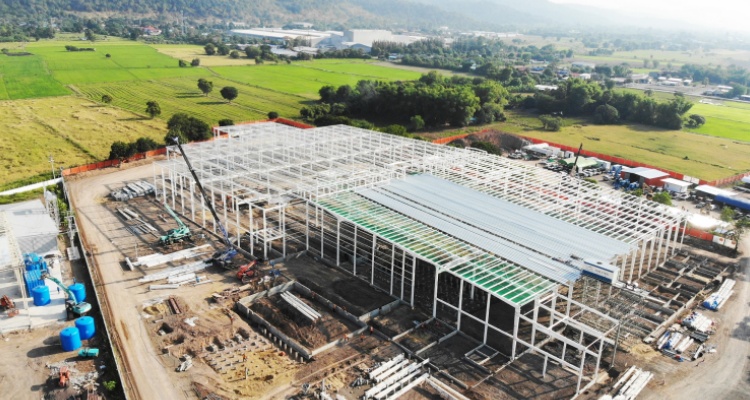  Commercial Crown Factory(图3)