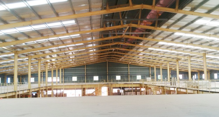Pre-engineered buildings-Areca New Facroty(图2)