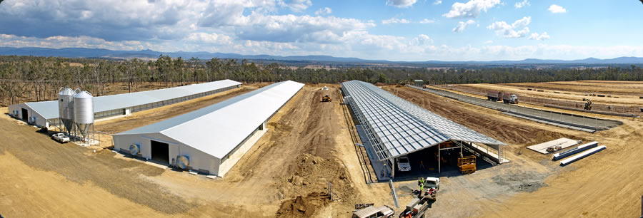 Steel Structure Poultry House(图4)