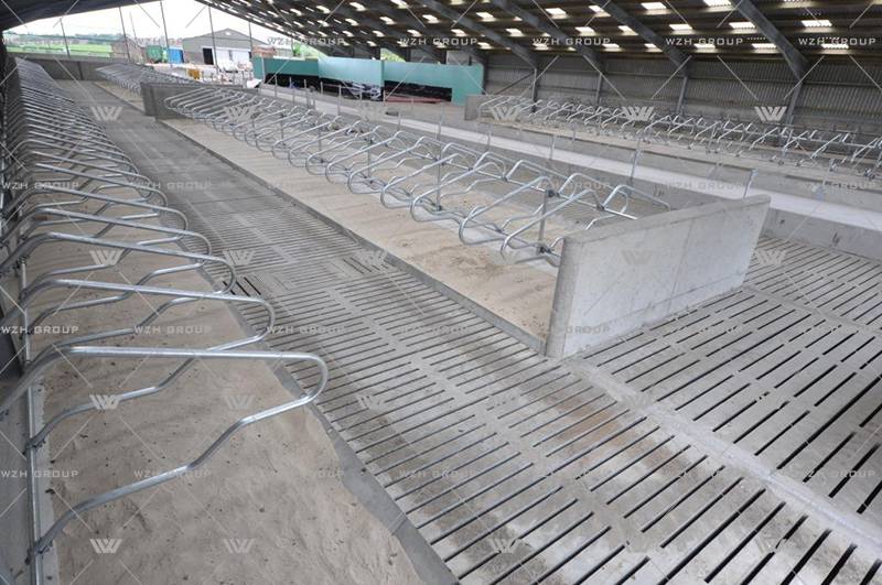 Steel Structure Dairy Cattle Farm(图2)