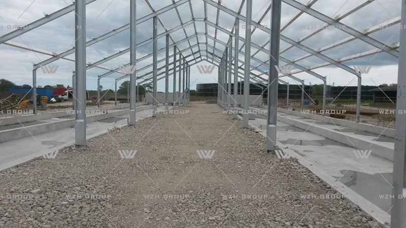 Steel Structure Dairy Cattle Farm(图1)