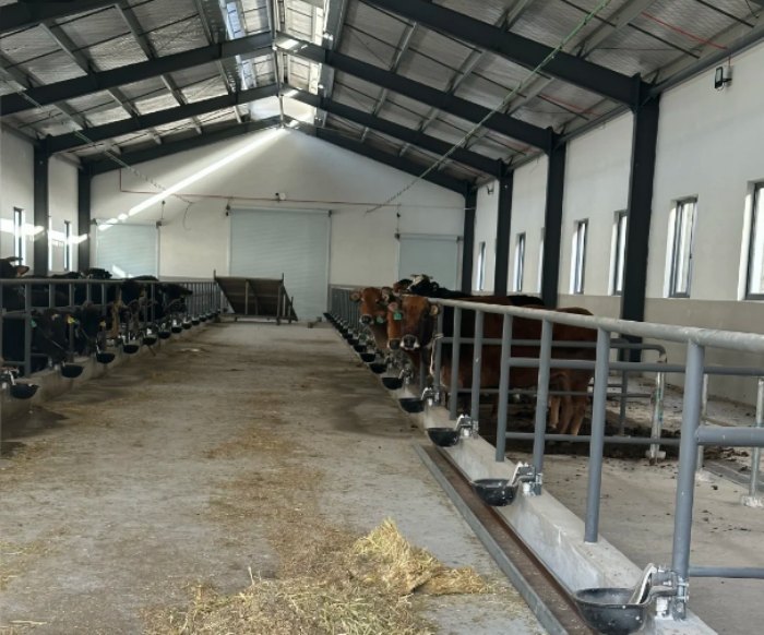 steel structure news